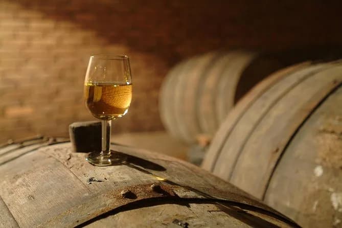 Georgian Wine: An 8,000-Year History & Best Regions to Visit